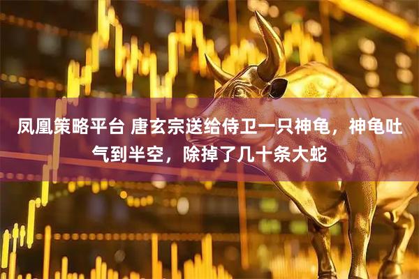 凤凰策略平台 唐玄宗送给侍卫一只神龟，神龟吐气到半空，除掉了几十条大蛇
